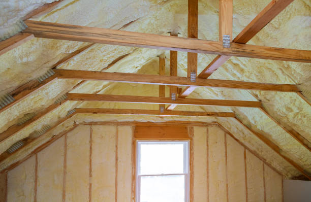 Best Insulation Removal  in Forest City, PA