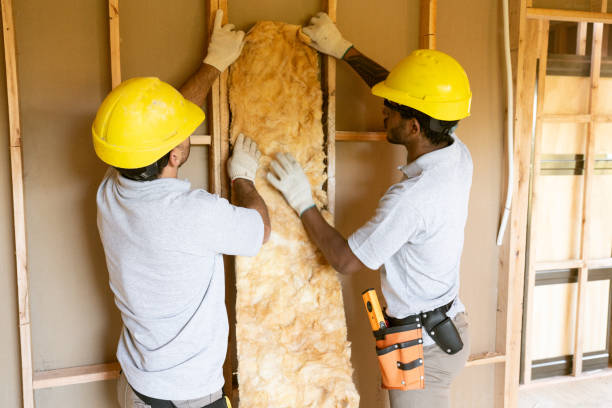Professional Insulation Contractor in Forest City, PA