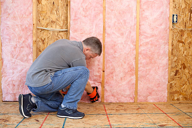 Best Insulation for New Construction  in Forest City, PA