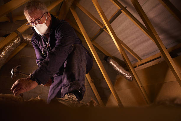 Best Best Insulation Companies  in Forest City, PA