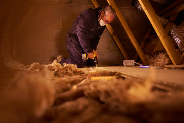 Best Energy-efficient Insulation  in Forest City, PA