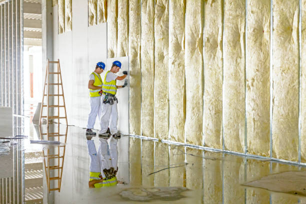 Best Insulation Contractors for Homes  in Forest City, PA